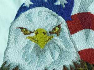 Eagles Embroidery Machine Design