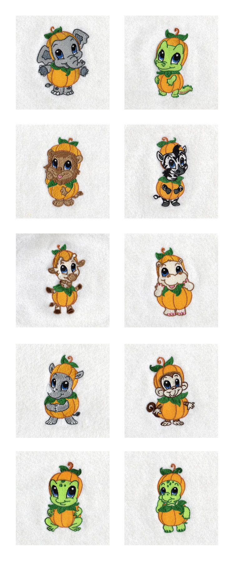 Baby Zoo Pumpkins Embroidery Machine Design Details