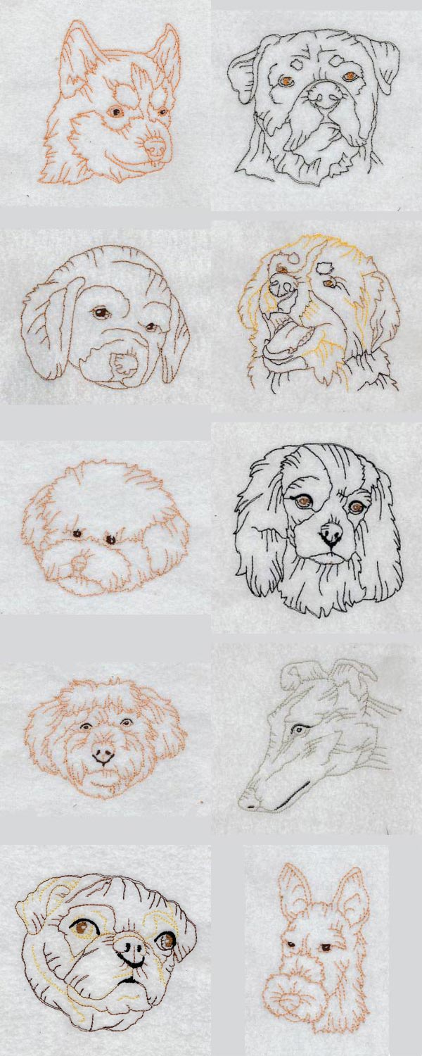 Colorline Doggies Embroidery Machine Design Details