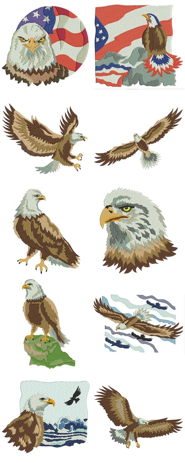 Eagles Embroidery Machine Design Details