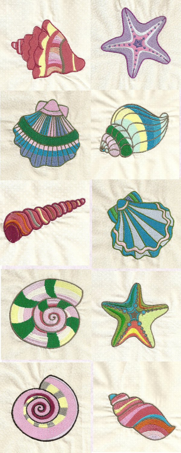 New Shells Embroidery Machine Design Details