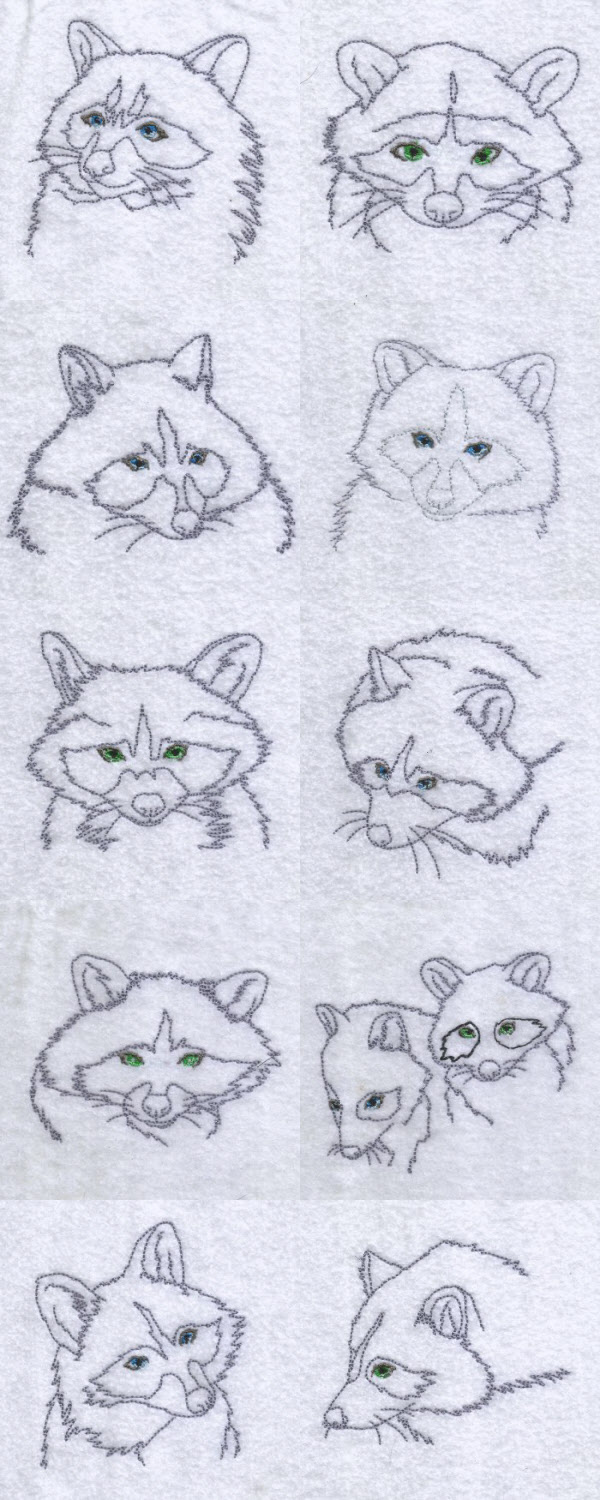 Wily Raccoons Embroidery Machine Design Details