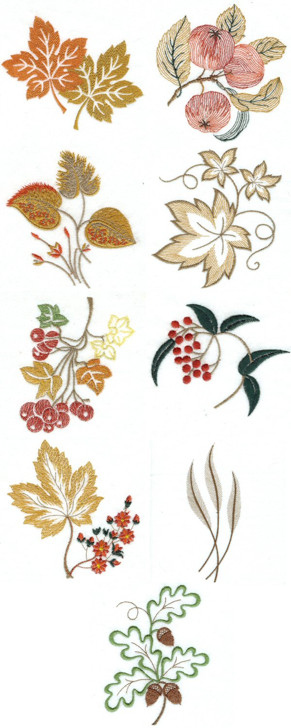 5x7 Autumn Leaves Embroidery Machine Design Details